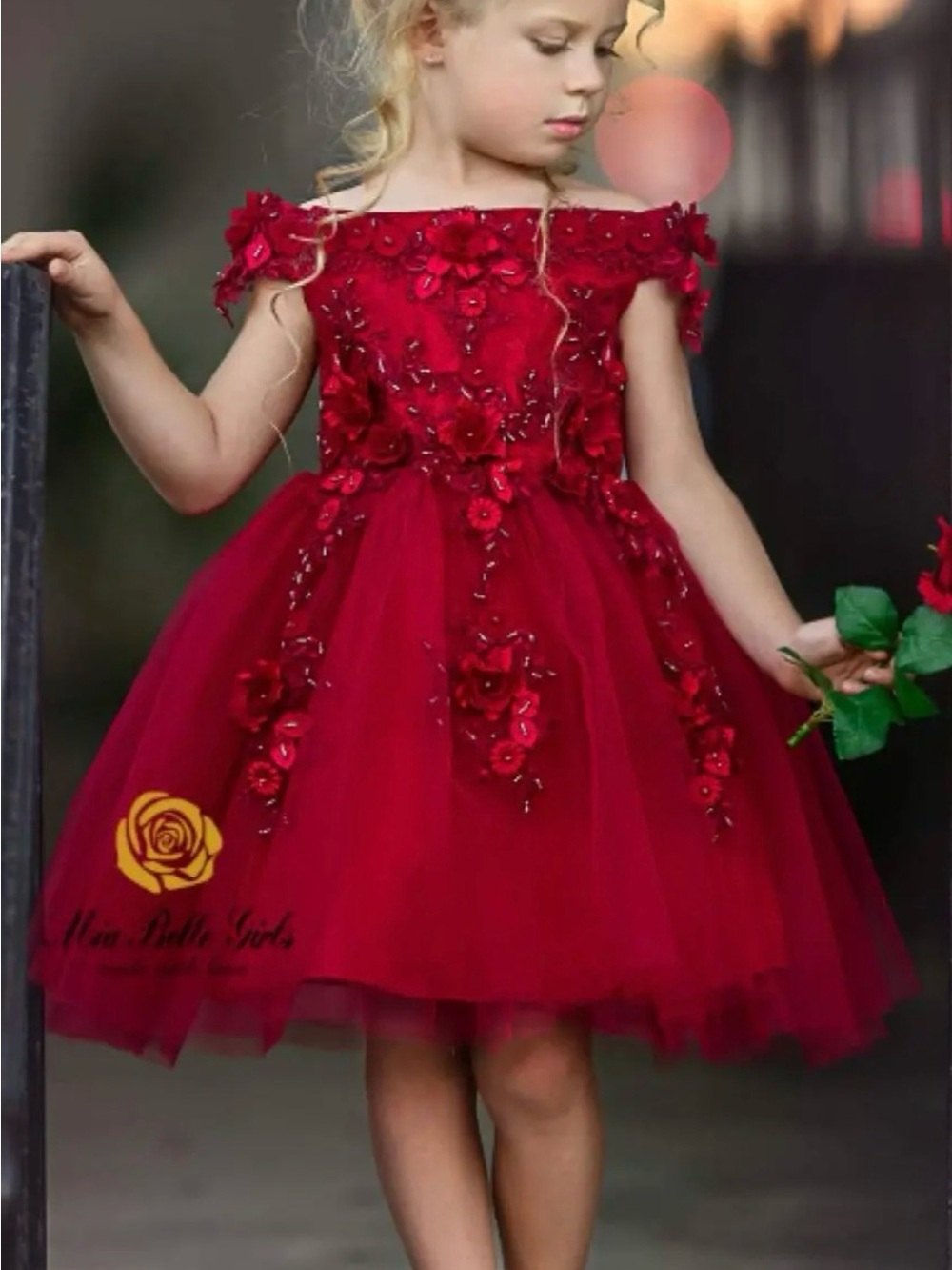 Girls Red Floral Applique Tulle Party Dress